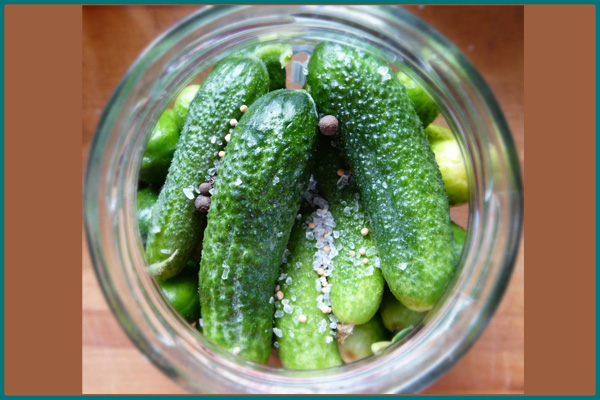 Cornichons en bocaux maisons